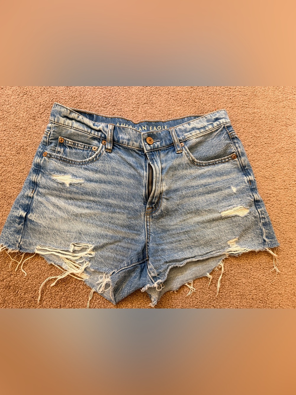 American Eagle Outfitters Distressed Light Blue Denim Shorts